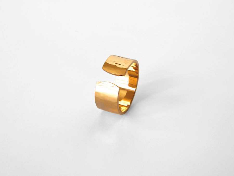 Kraftwerk Ring breit, Gold